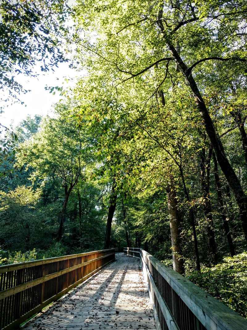 Connect With Other Raleigh Greenways Along the Way