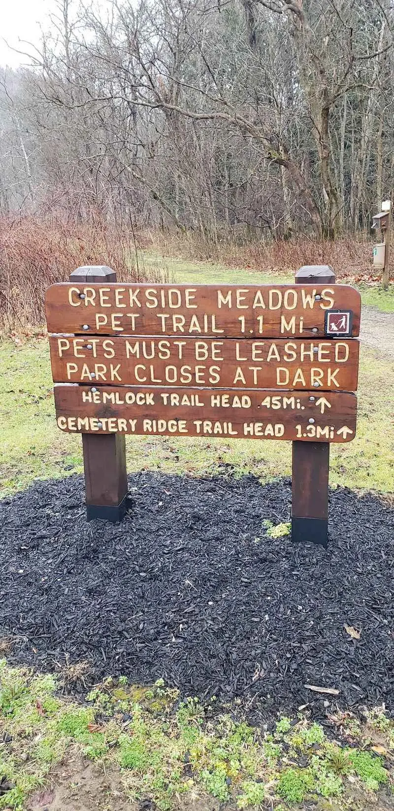 Deep Woods Escape at Clear Creek Metro Park