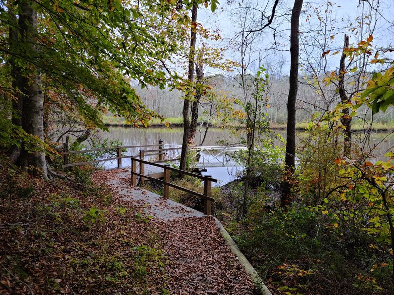 Quiet Banks Of The James - James River National Wildlife Refuge in Prince George, Prince George County