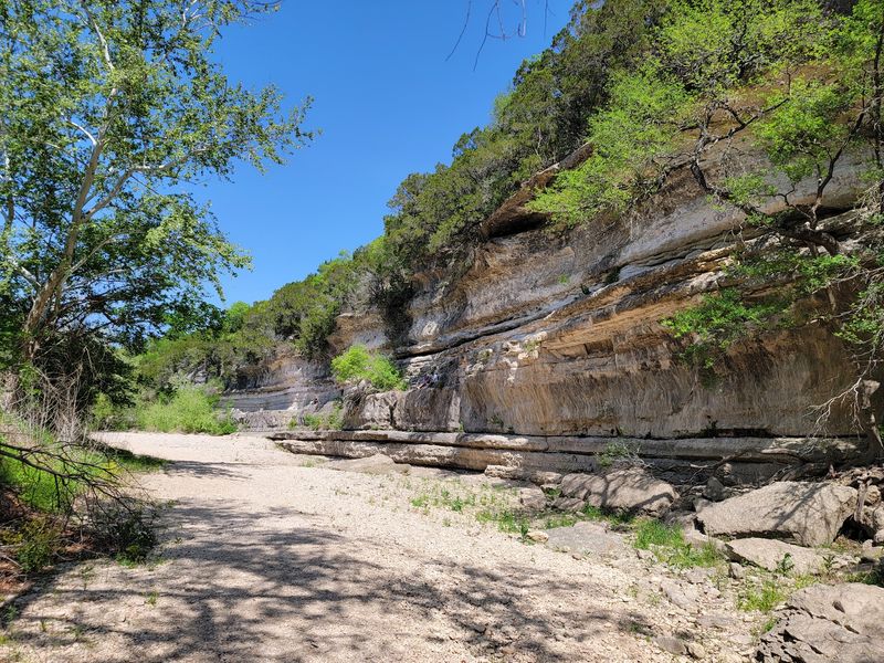 Creek Crossings And Shady Limestone - Barton Creek Greenbelt Trail in Austin, Travis County
