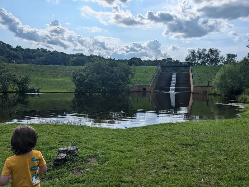 A Pond Loop Made for Slow Strolling