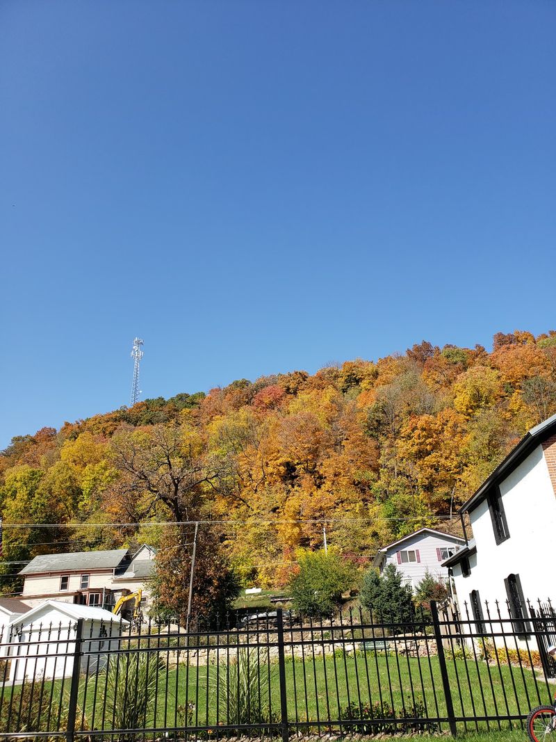 Bluff Country All Around Town