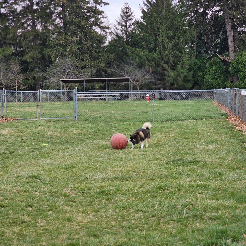 Burlington Regional Dog Park - Burlington