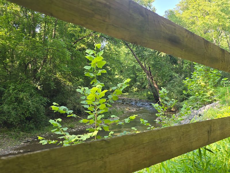 Jackson River Scenic Trail - Covington & Alleghany County