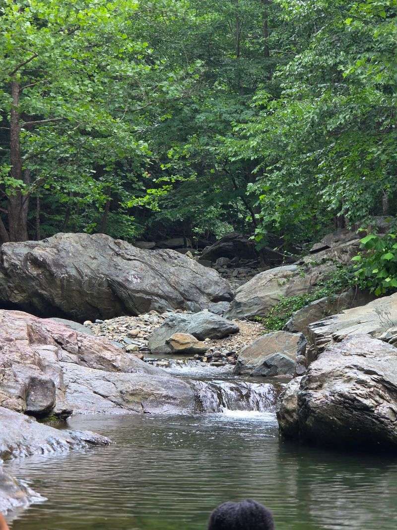 Blue Hole on the Moormans River - Crozet