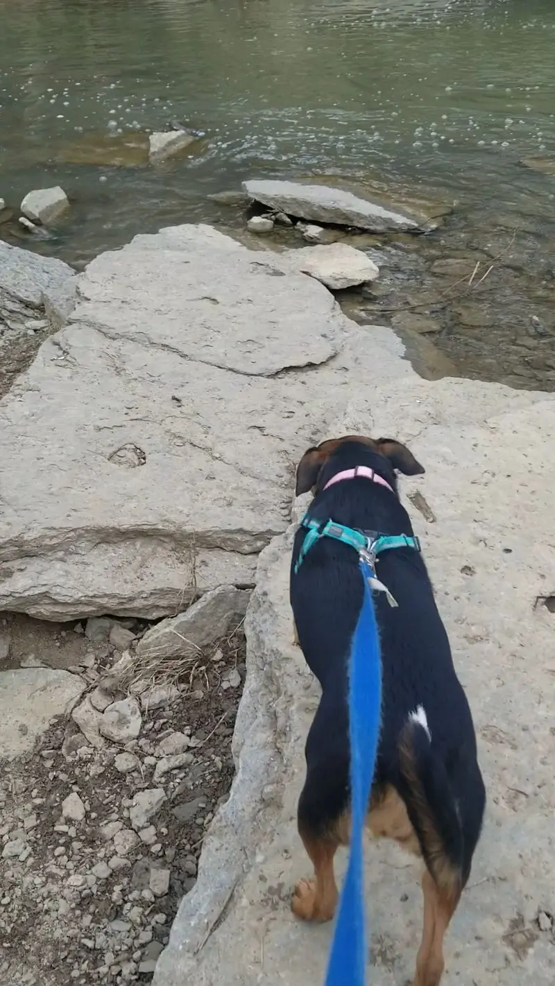 Lake Views and Long Walks at Caesar Creek State Park