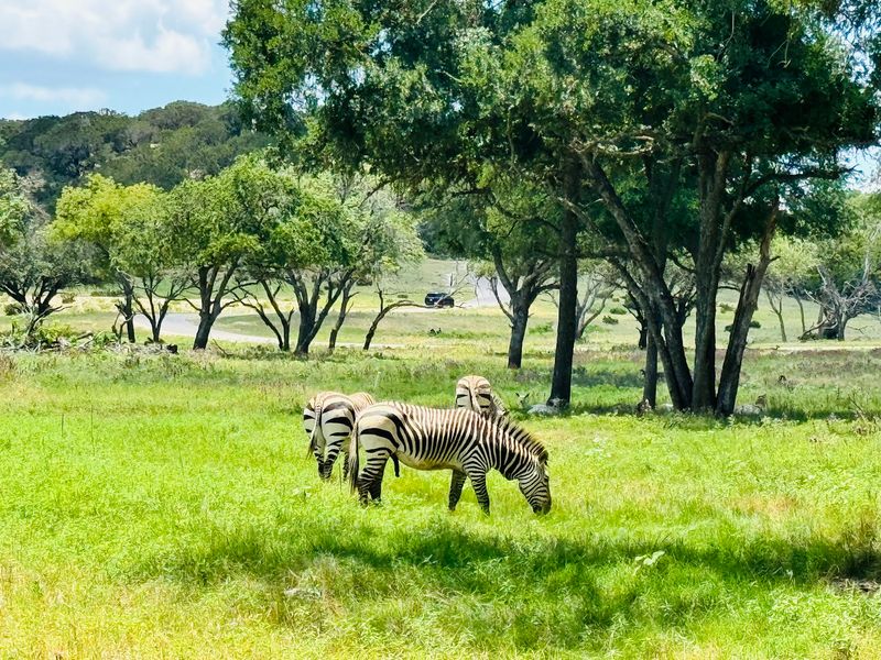 Fossil Rim Wildlife Center - Glen Rose