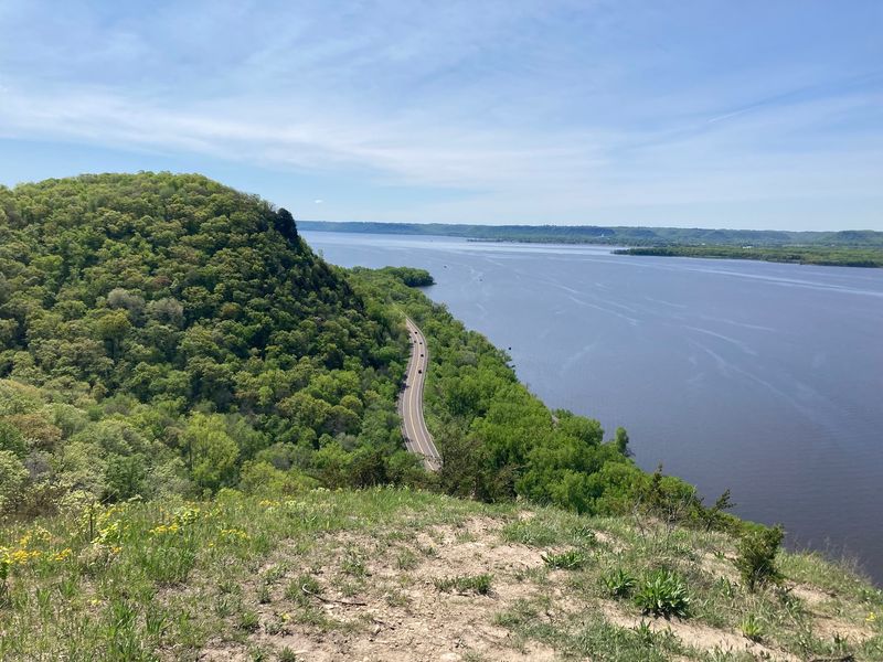 Let The Bluffs Steal The Show