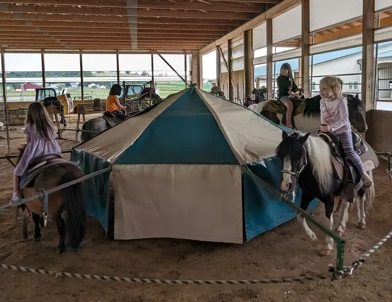 Bakery Smells and Barnyard Fun at Hershberger's Farm & Bakery