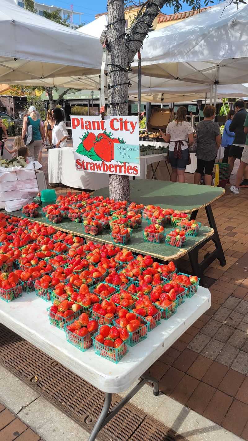 Fresh Florida Produce Takes Center Stage