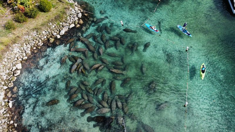 Clear Kayak Tours and Morning Magic