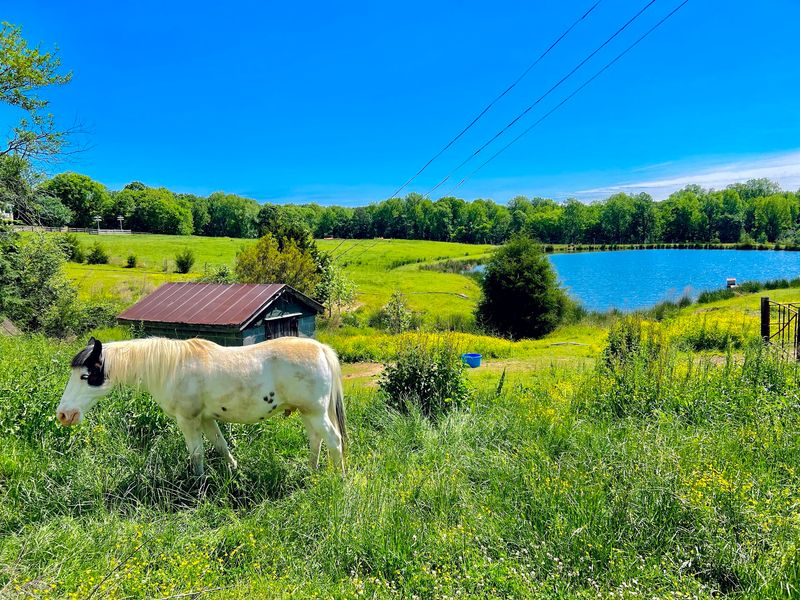 Waller Family Farm - Durham