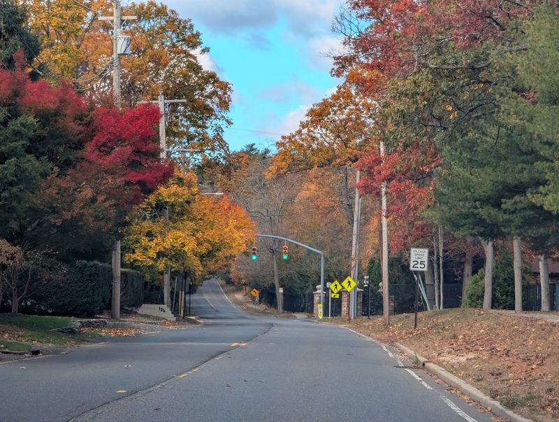 East Hills