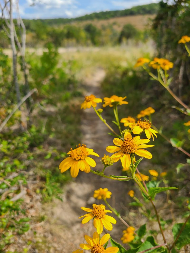 Balcones Canyonlands National Wildlife Refuge, Marble Falls, Burnet County
