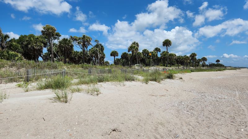 Edisto Beach State Park - Edisto Island