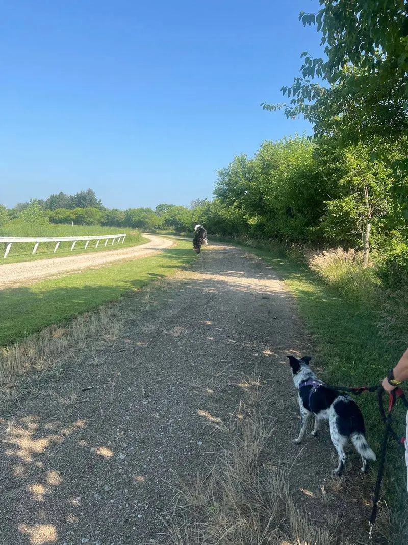 Prairie Surprises at Battelle Darby Creek Metro Park