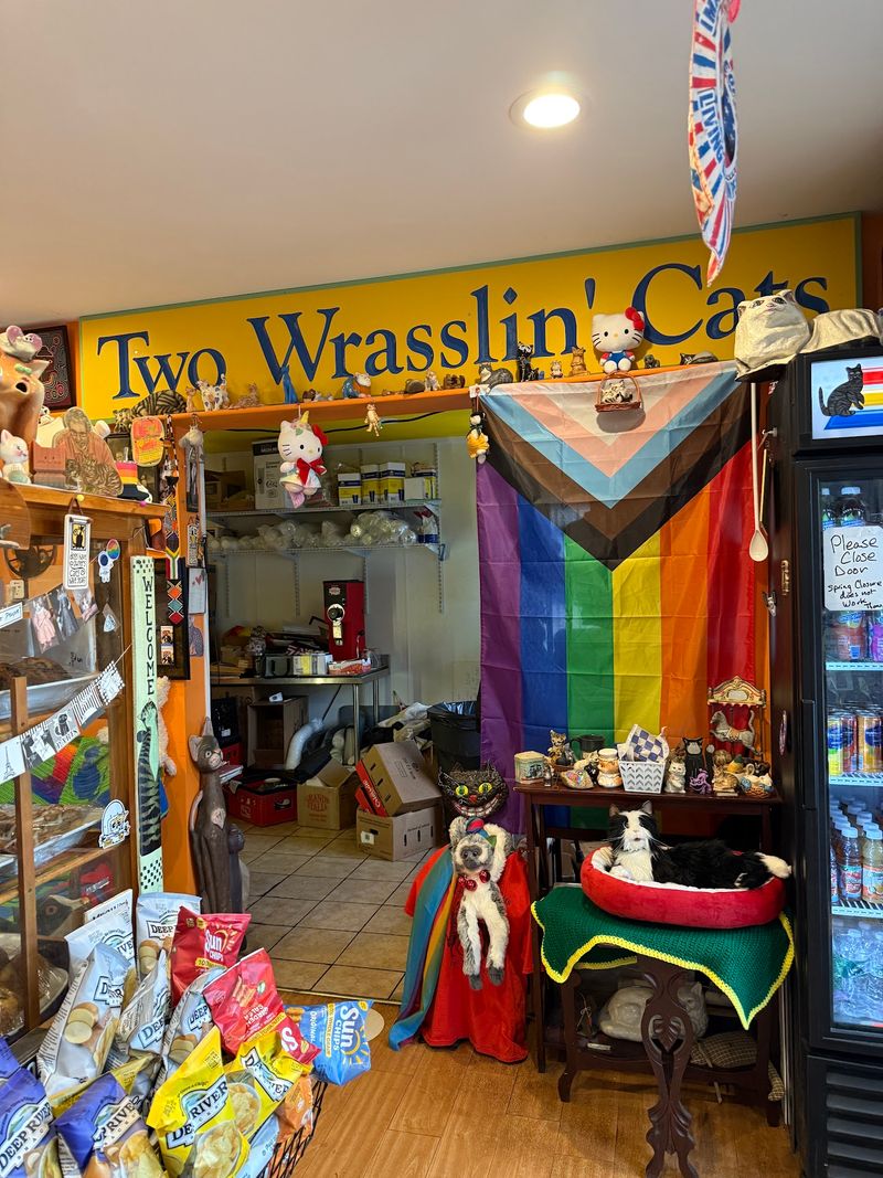 Decor That Turns Every Corner Into a Cat Joke