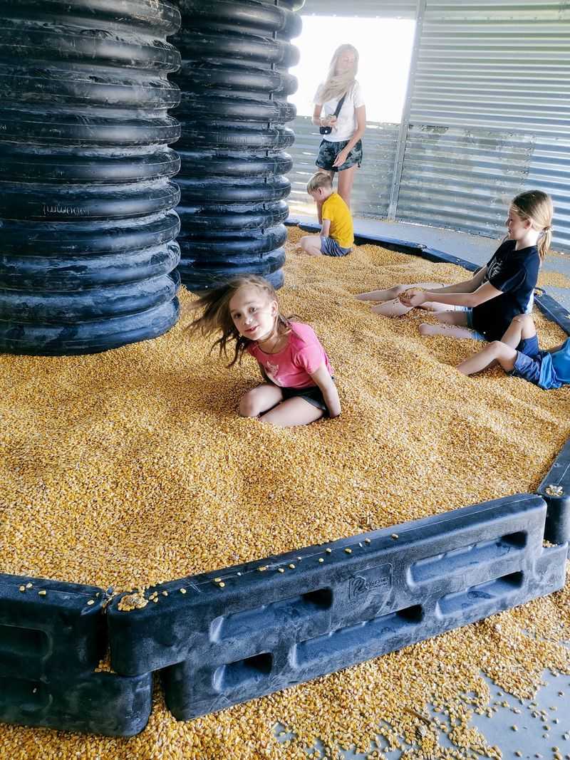Kids Can See More Than Just Cows on the Visit