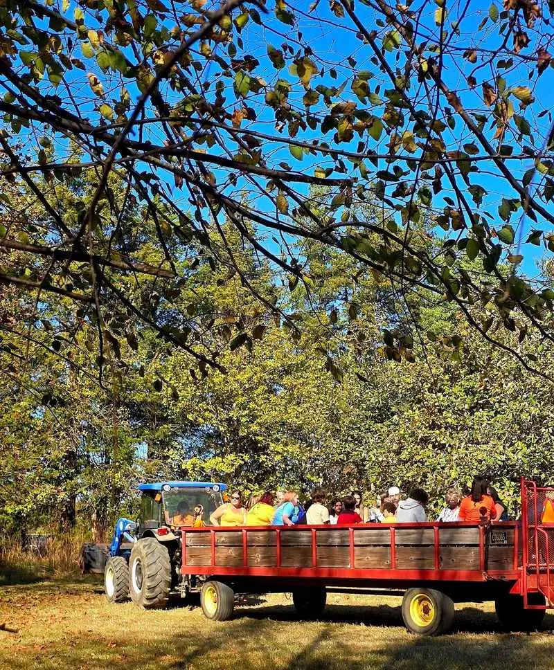 Blackbird Creek Fall Festival, Townsend, New Castle County