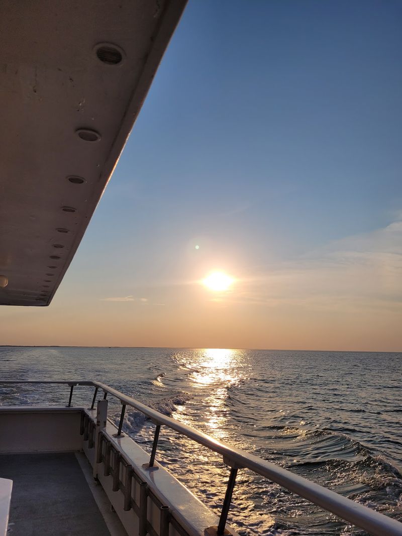 Big Hopes on a Whale-Watching Trip
