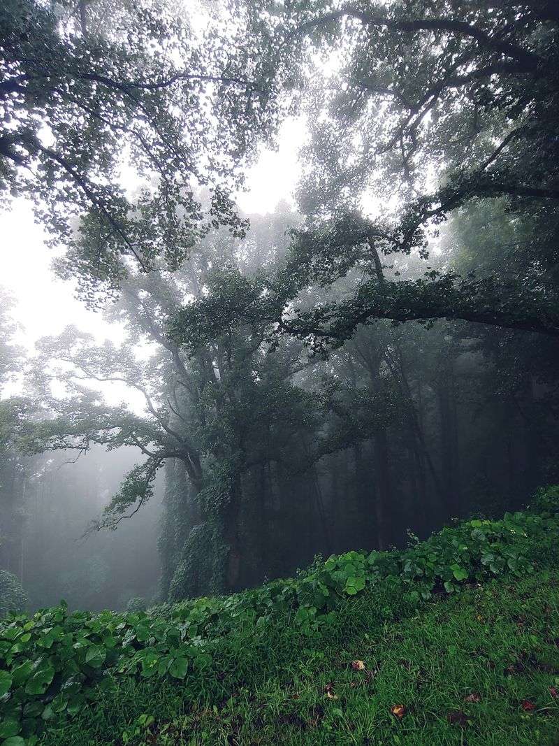 Quiet Moments Are The Best Souvenir