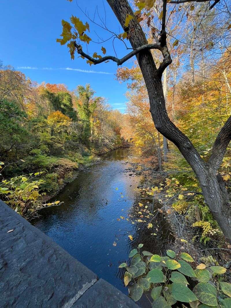 Nature Close Enough for a Quick Escape