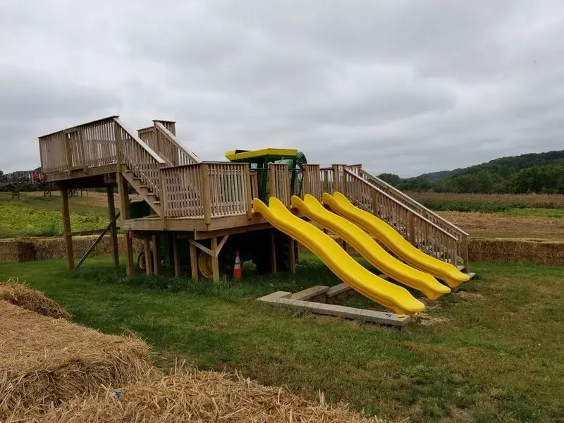 Trails and Open Space Help Kids Burn Energy