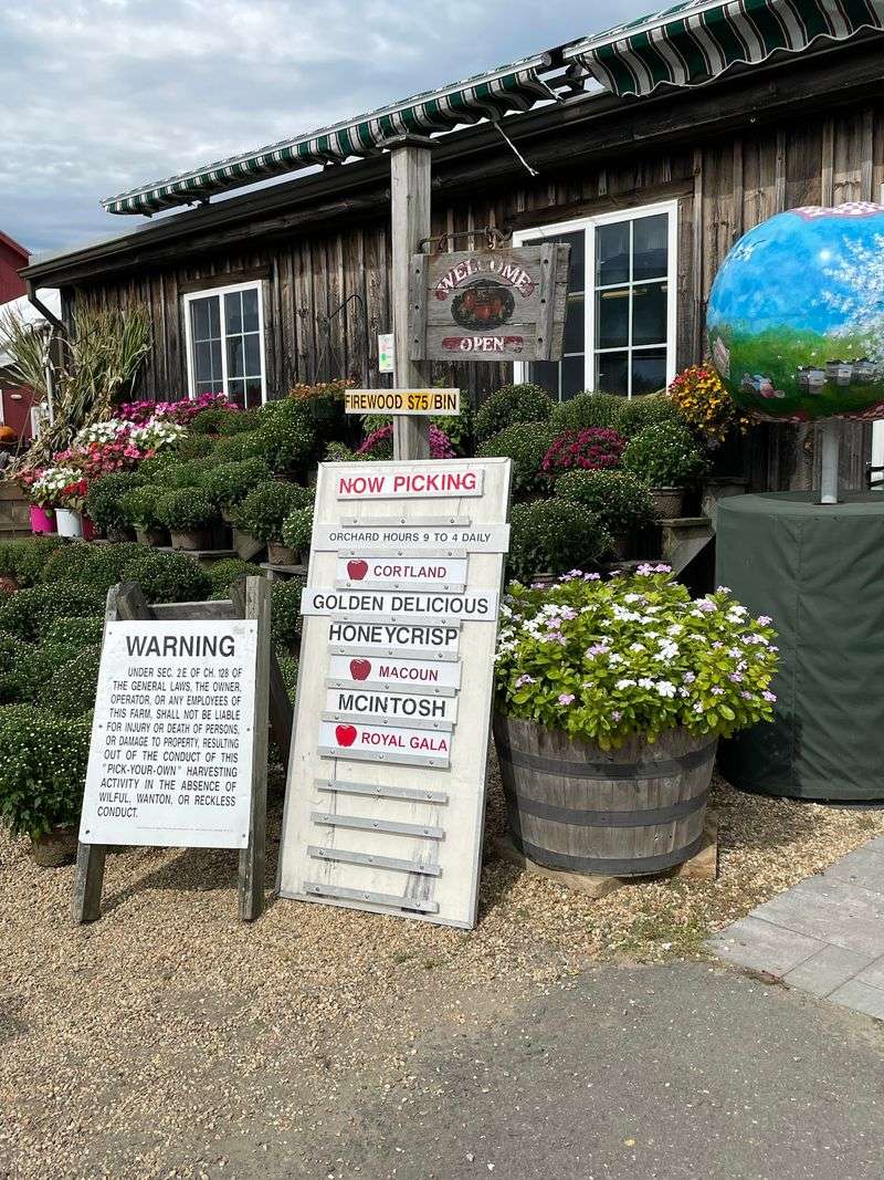 Planning Tips for a Smooth Visit to the Harvard Orchard