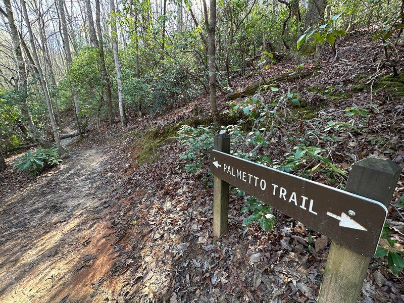 Walk Part of the Palmetto Trail