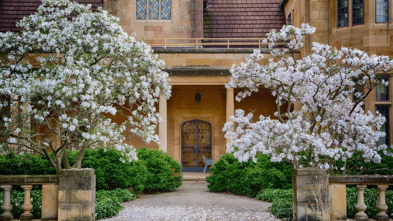 Watch Subtle Colors Shine in the White Garden
