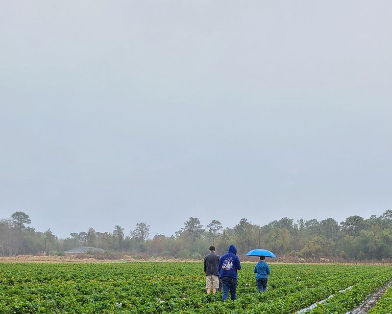 Mick Farms - St. Cloud, Florida