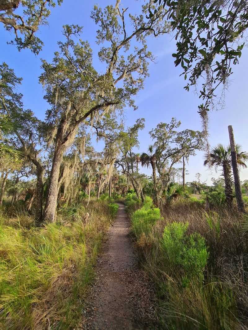 Trails That Trade Boardwalk Noise for Birdsong