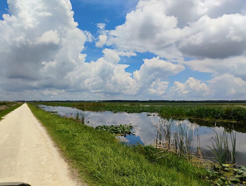 Lake Apopka Loop Trail - Lake County