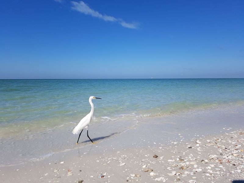 Delnor-Wiggins Pass State Park - Naples