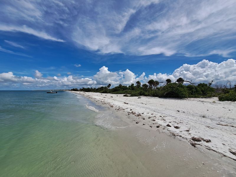 Turquoise Water Makes The Shell Hunt Feel Dreamy