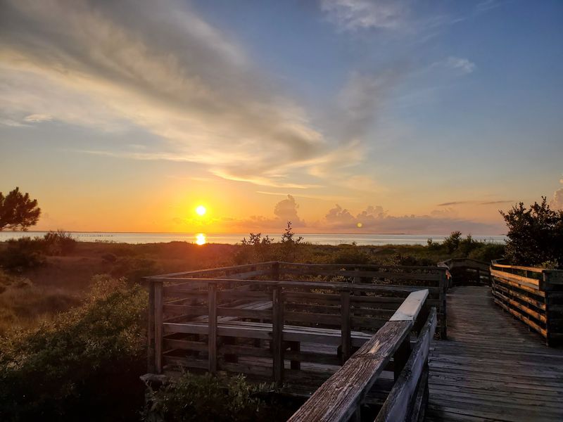 First Landing State Park - A Beach Escape With A Nature Twist