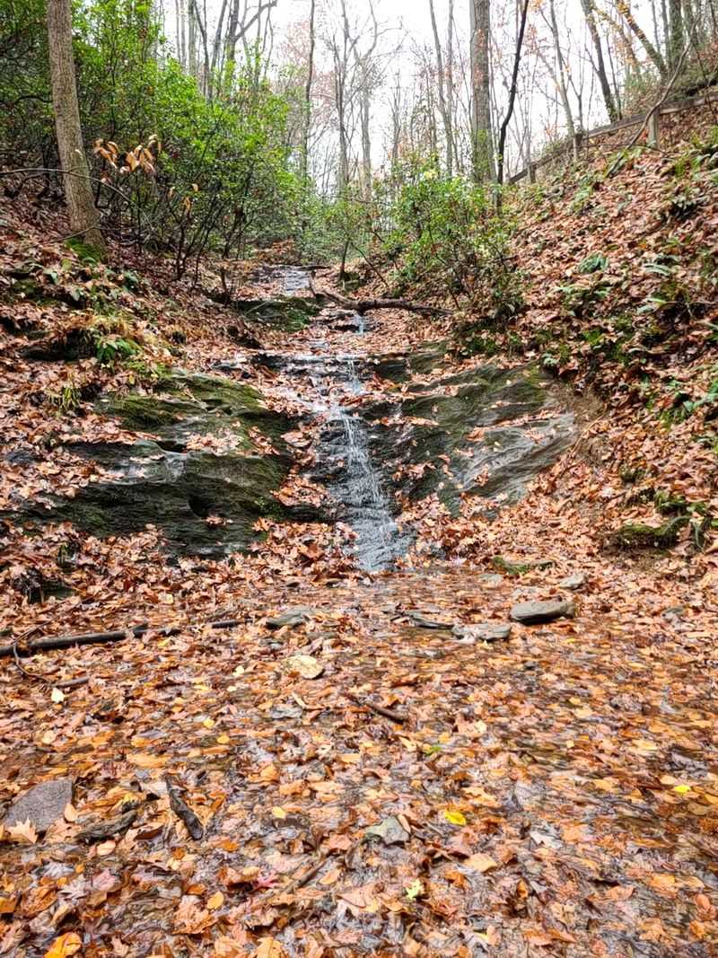 Fairy Stone State Park, Stuart