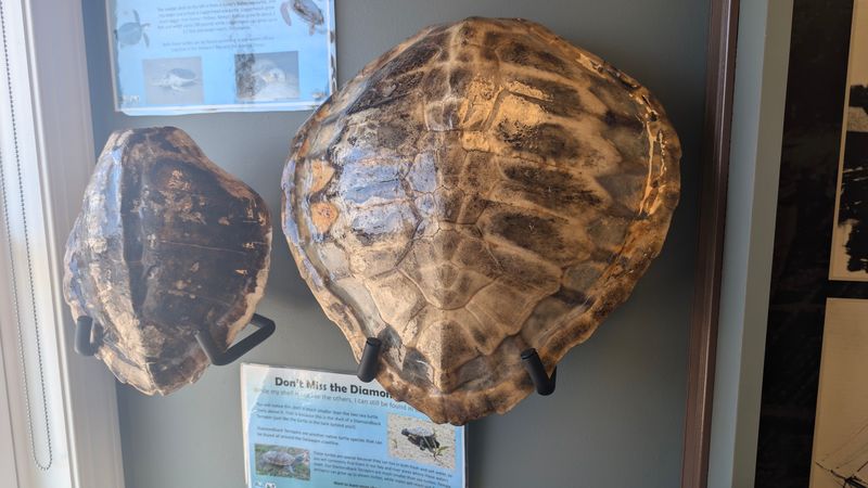 Indoor Exhibits Make the Bay Feel Close Enough to Touch