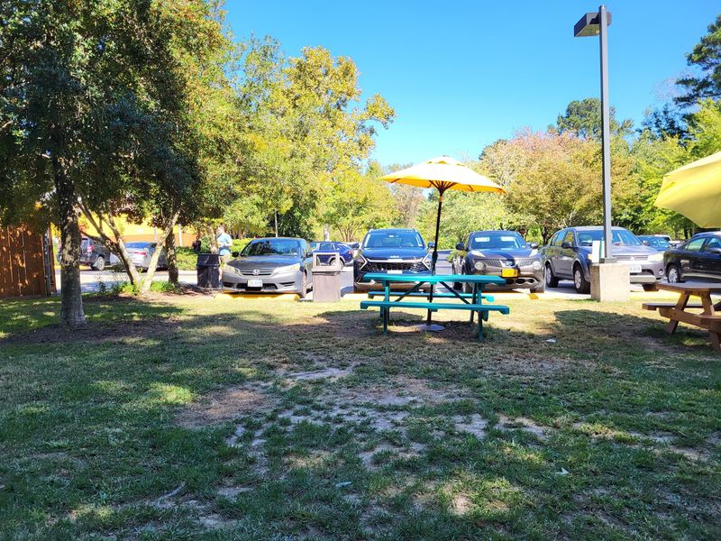 A Picnic Table Pause