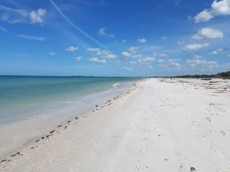 Caladesi Island State Park - Dunedin