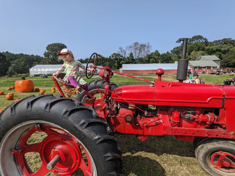 Close-to-Home Harvest in Framingham