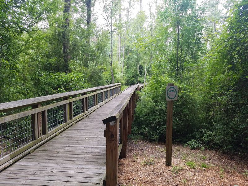 Walking the Loop Trail and Boardwalk