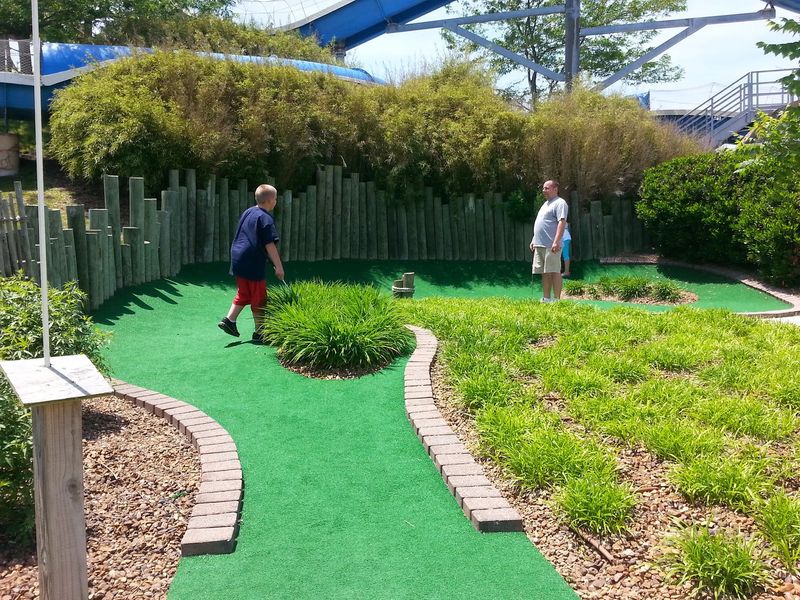 Safari Mini Golf and Batting Cages - Dry Land Adventures