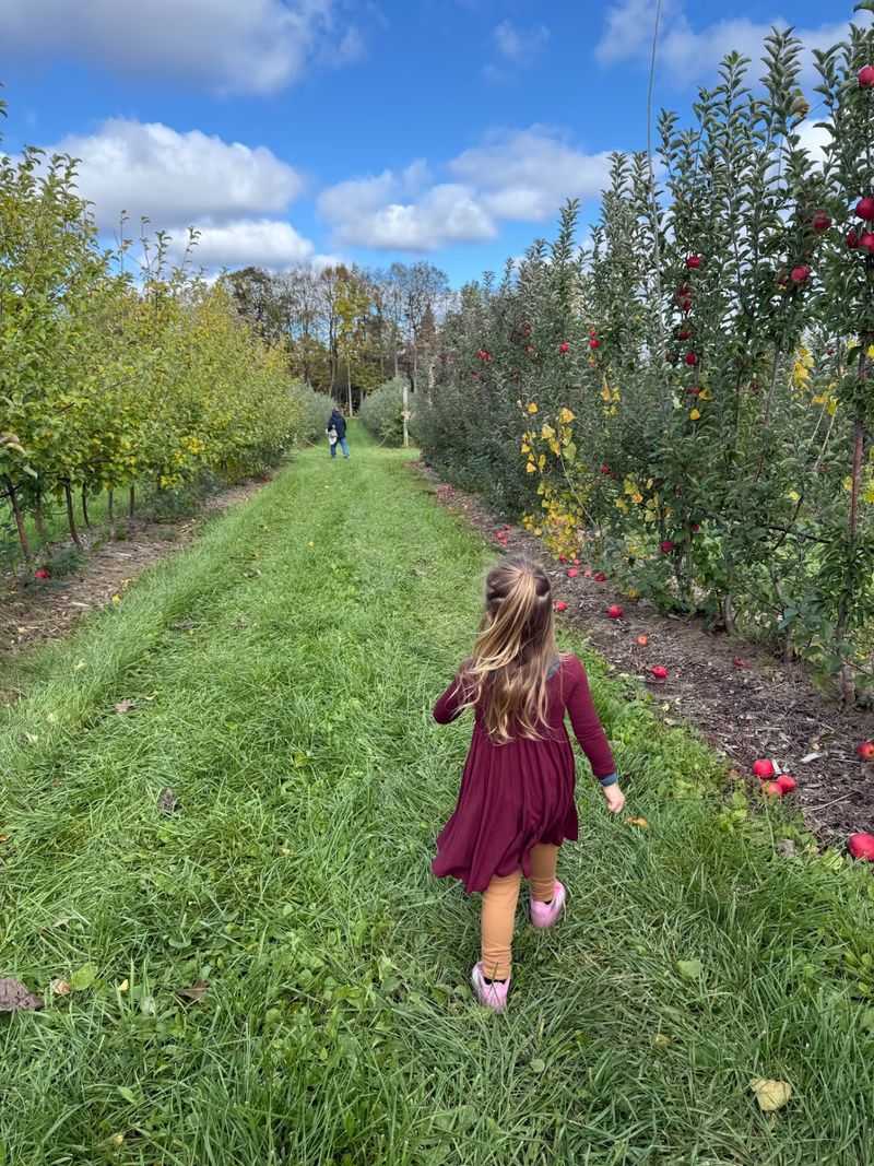 Gierach Orchards: Room to Find Your Favorite