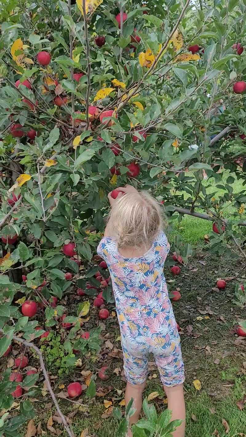Jeter Mountain Farm - Hendersonville