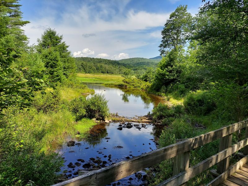 Frick Pond Loop - Catskills