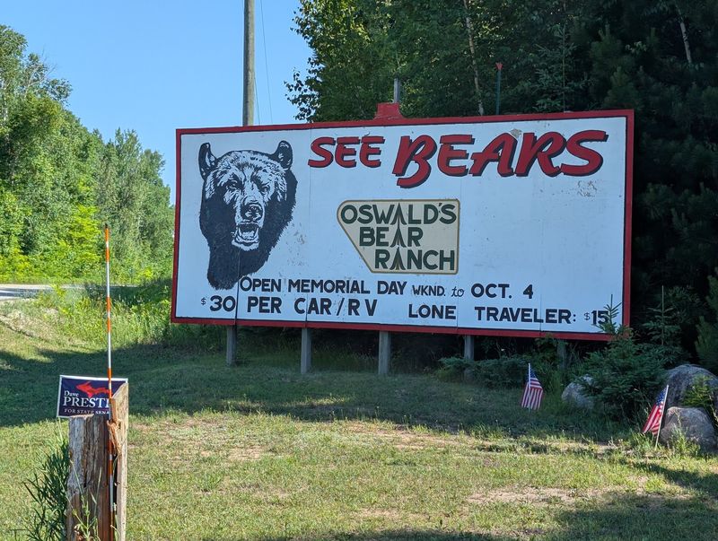 Plan Ahead, Then Follow the Bears