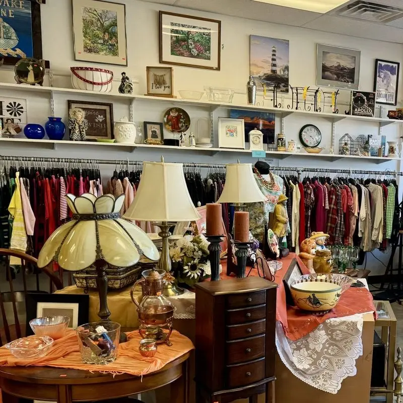 Quirky Shelf Surprises - Pickers Thrift Store in Dover, Kent County