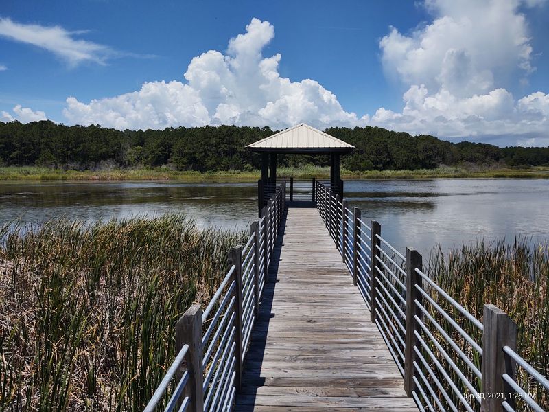 Seabirds And Quiet Beaches: Huntington Beach State Park in Murrells Inlet, Georgetown County
