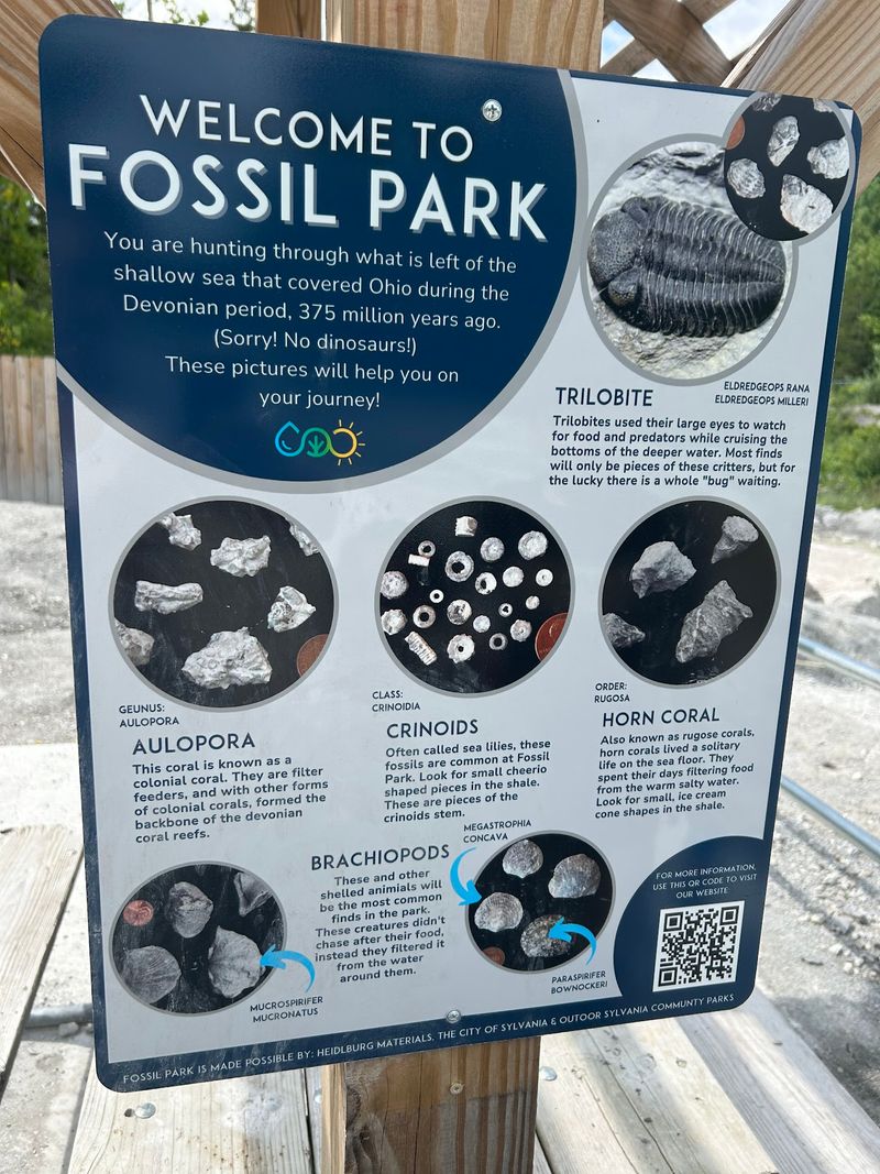 Rules Keep The Digging Safe And Fair